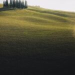 pexels-pat-whelen-6369230
